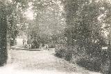 Paseo de la Alameda. Fotografía original realizada por Alcázar, editada en Jaén por Hijo de E. Sánchez e impresa Hauser y Menet, en 1904